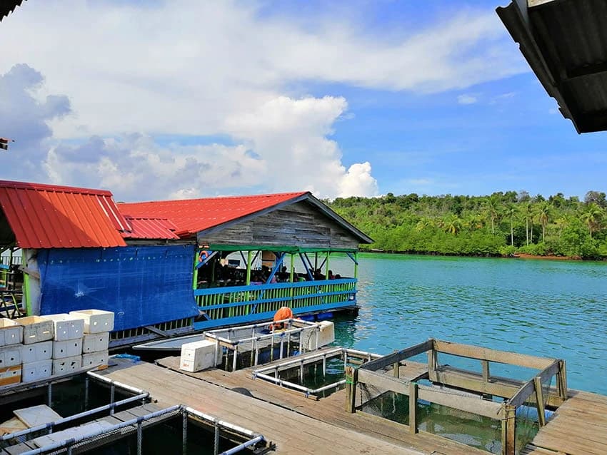 Tanjung Piayu