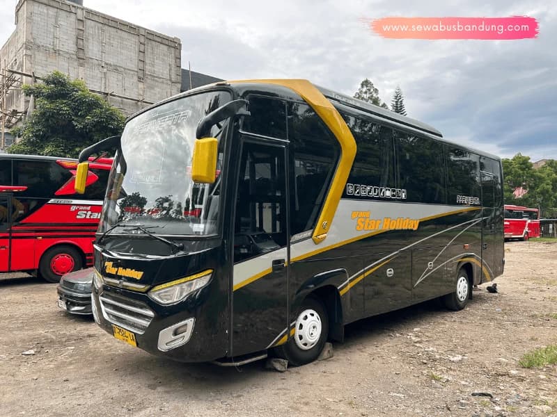 Medium Bus 30 Seater